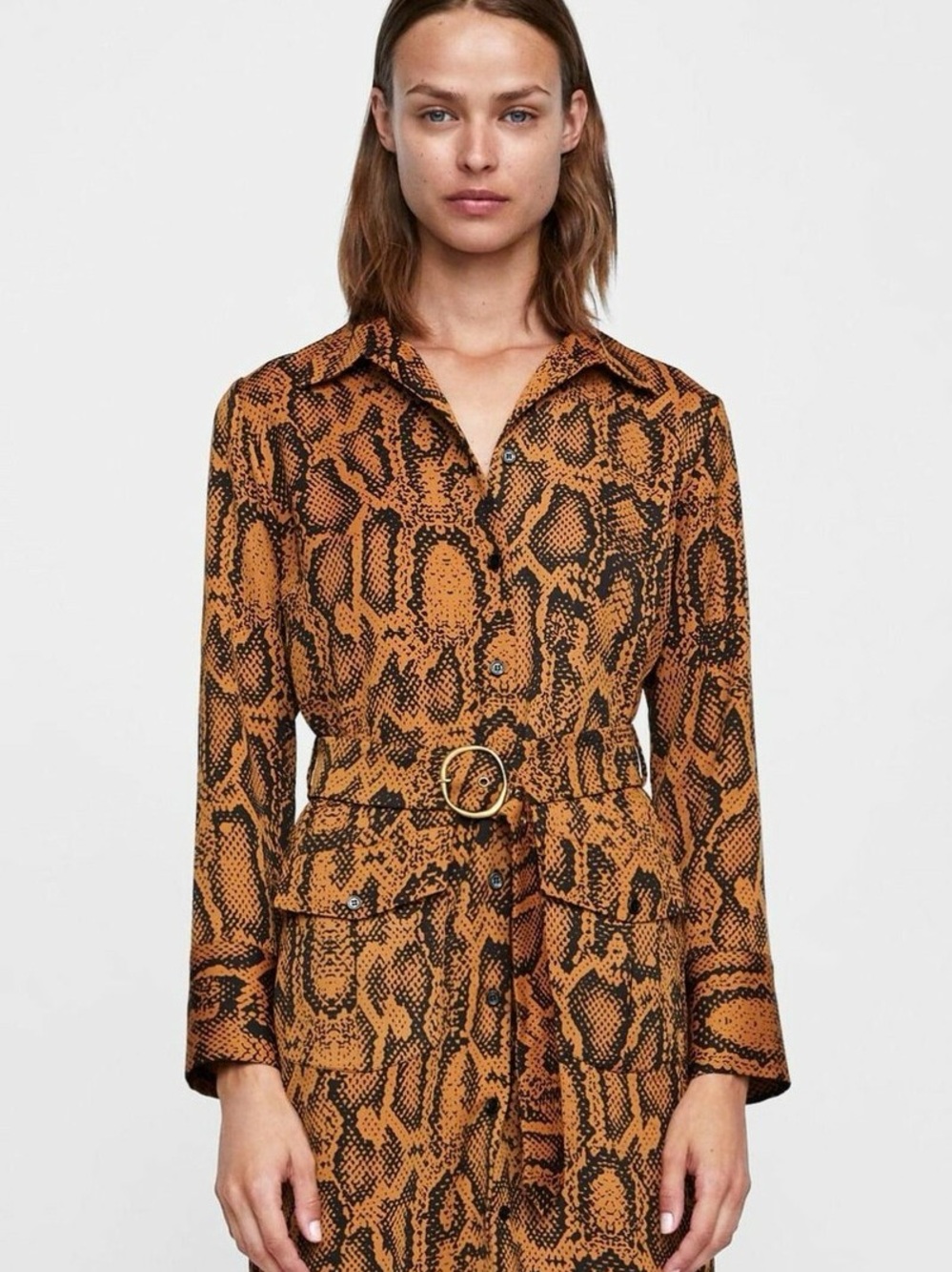 Zara Brown Snake-Print Maxi Dress